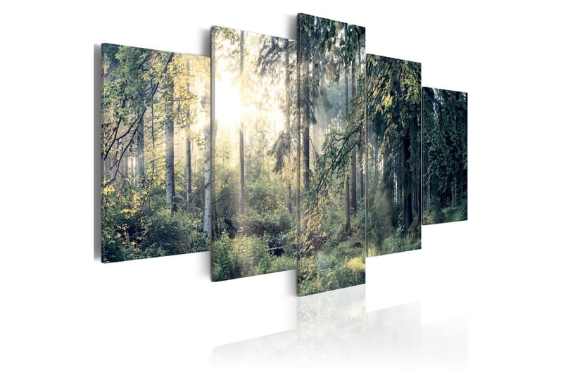 Bilde Fairytale Landscape 200x100, Artgeist sp. z o. o.
