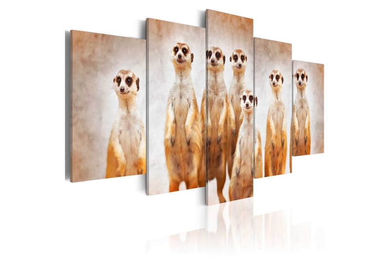 Bilde Family Of Meerkats 100x50, Artgeist sp. z o. o.
