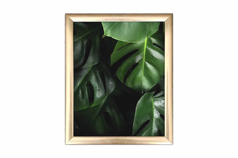 Bilde Floral med Ramme Flerfarget - 22,3x52,8 cm - Innredning - Bilder & kunst