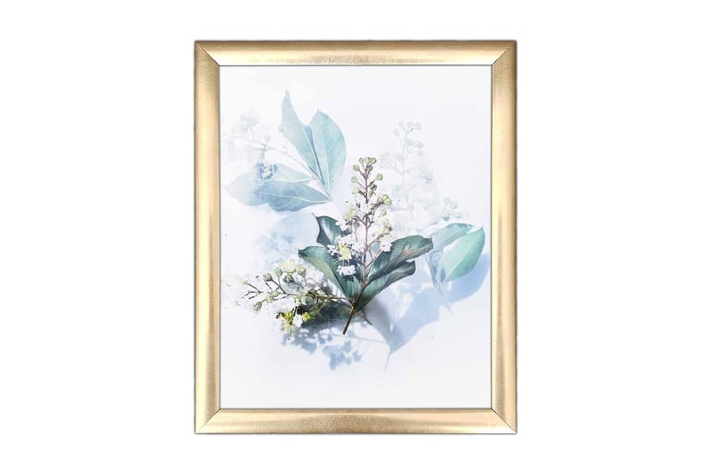 Bilde Floral med Ramme Flerfarget, 22,3x52,8 cm