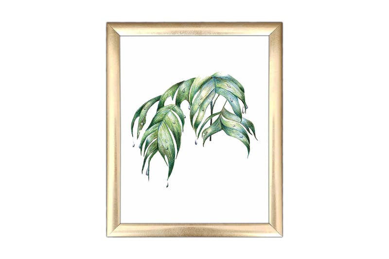 Bilde Floral med Ramme Flerfarget, 22,3x52,8 cm