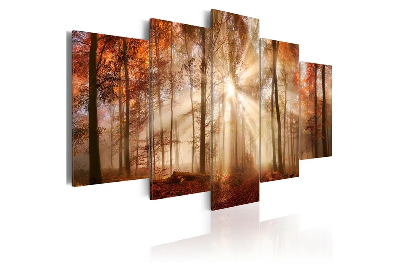 Bilde Forest Fog 100x50, Artgeist sp. z o. o.