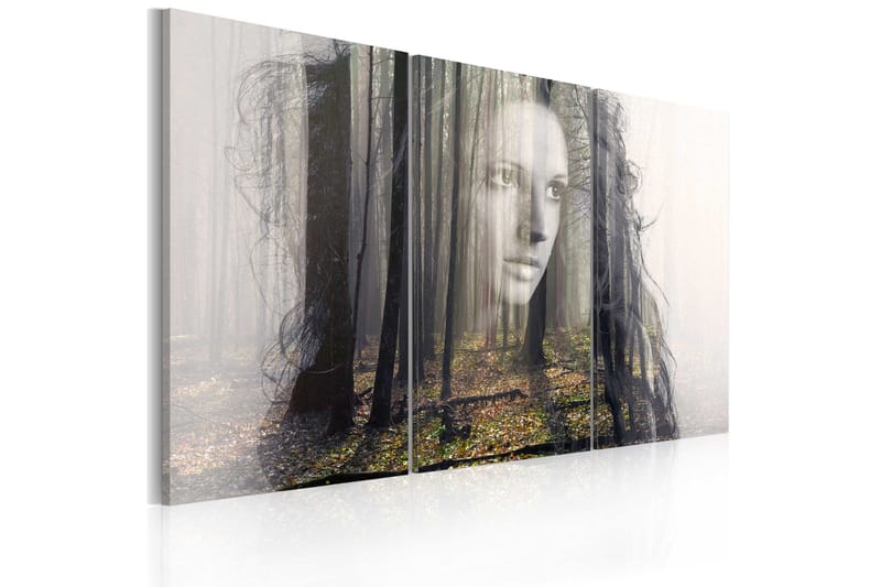 Bilde Forest Nymf 120x80, Artgeist sp. z o. o.