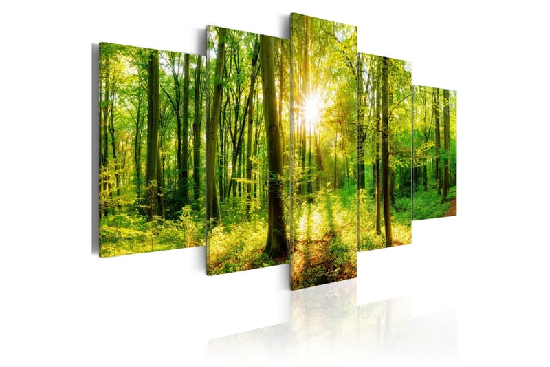 Bilde Forest Tale 100x50, Artgeist sp. z o. o.