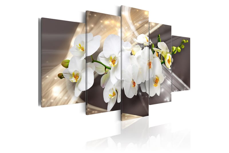 Bilde Golden Sash 200x100, Artgeist sp. z o. o.