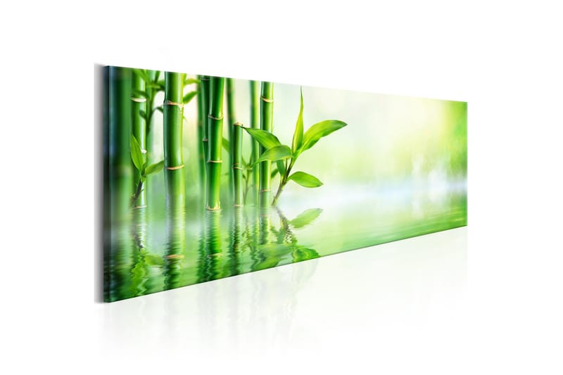 Bilde Green Bamboo 150x50, Artgeist sp. z o. o.