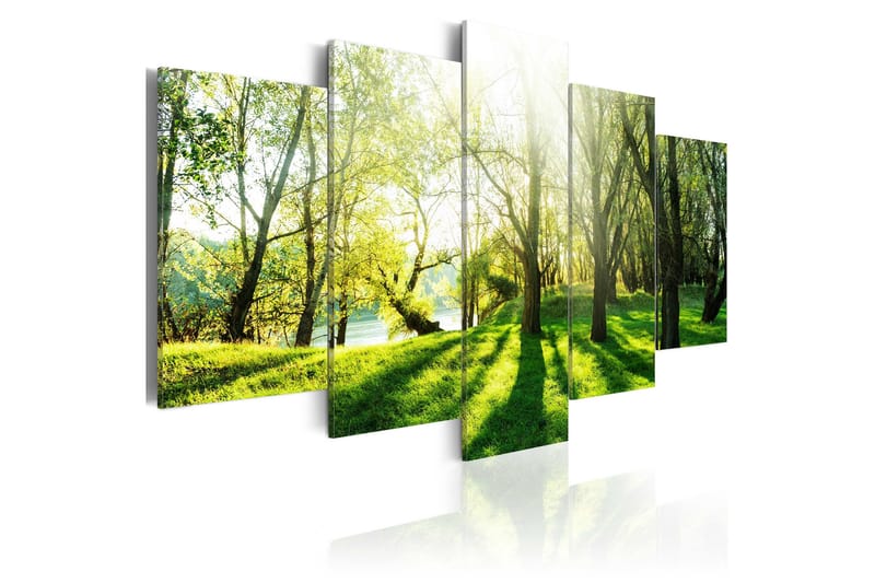Bilde Green Glade 200x100, Artgeist sp. z o. o.