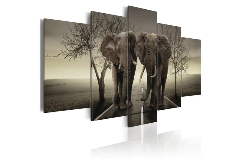 Bilde It's A Wild World! 200x100, Artgeist sp. z o. o.