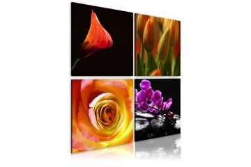 Bilde Kjernen Av Skjønnhet 40x40 - Artgeist sp. z o. o. - Innredning - Bilder & kunst - Lerretsbilder