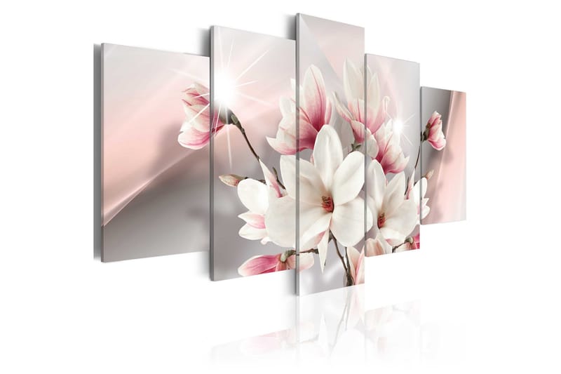 Bilde Magnolia In Bloom 100x50, Artgeist sp. z o. o.