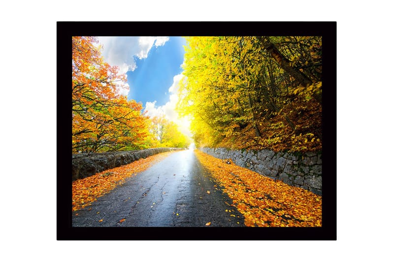 Bilde med Ramme Flerfarget - 44x15 cm - Innredning - Bilder & kunst