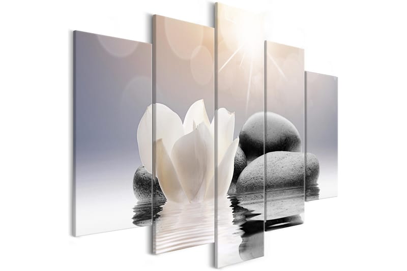 Bilde Natural Lightness 5 Parts Wide 100x50, Artgeist sp. z o. o.