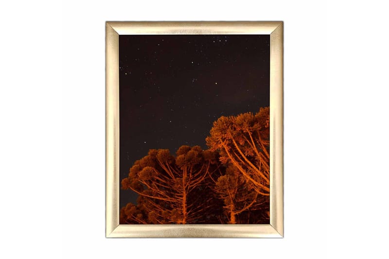 Bilde Nautical med Ramme Flerfarget, 22,3x52,8 cm