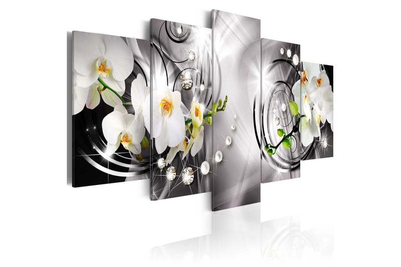 Bilde Orchid Pearls And Diamonds 100x50, Artgeist sp. z o. o.