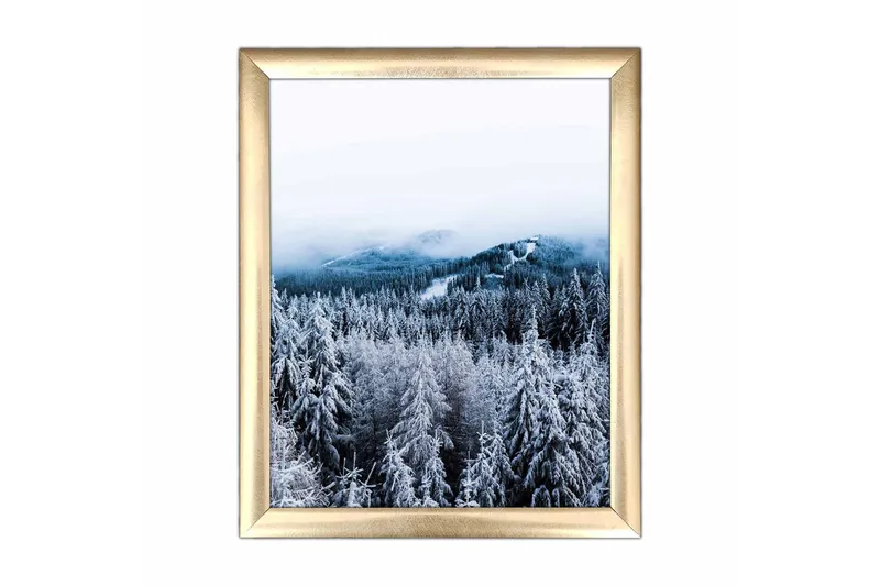 Bilde Scenic med Ramme Flerfarget, 22,3x52,8 cm