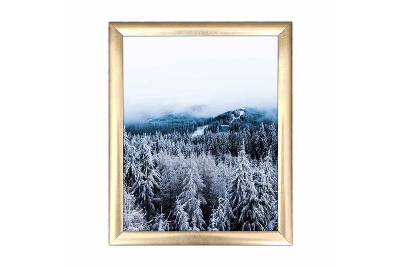 Bilde Scenic med Ramme Flerfarget, 22,3x52,8 cm