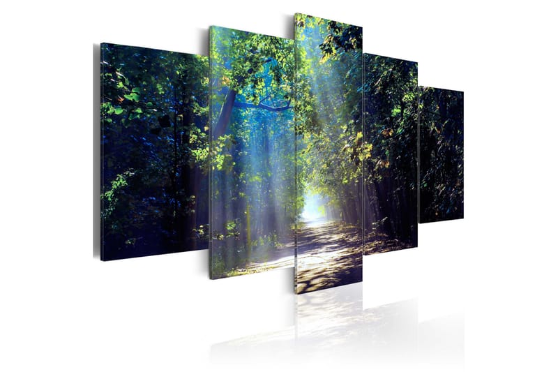 Bilde Sunny Forest Path 100x50 - Artgeist sp. z o. o. - Lerretsbilder