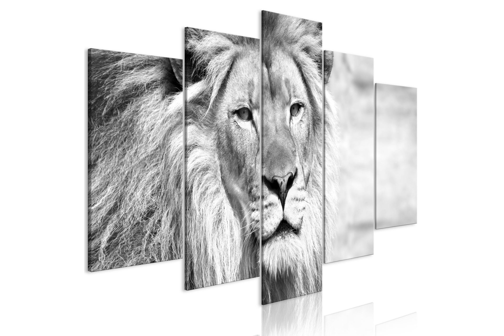 Bilde The King Of Beasts 5 Parts Wide B&W 100x50 - Artgeist sp. z o. o.