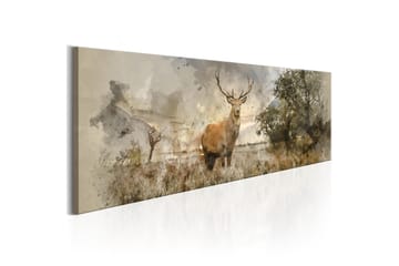 Bilde Watercolour Deer 120x40