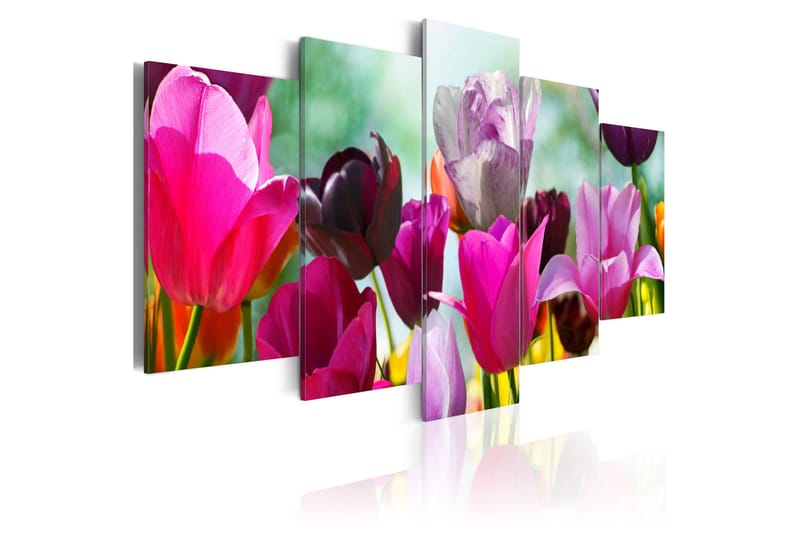 Bilde Pink Fun 100x50, Artgeist sp. z o. o.