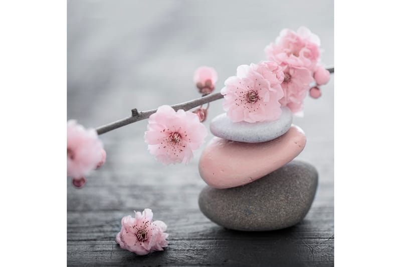 Bilde Pink Stone - 33x03 cm - Innredning - Bilder & kunst