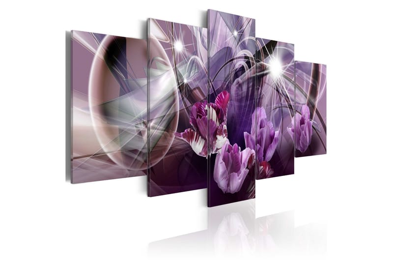 Bilde Purple Of Tulips 100x50 - Artgeist sp. z o. o. - Innredning - Bilder & kunst - Lerretsbilder