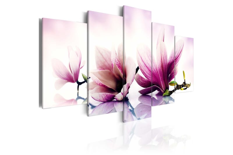 Bilde Pink Flowers Magnolias 100x50, Artgeist sp. z o. o.