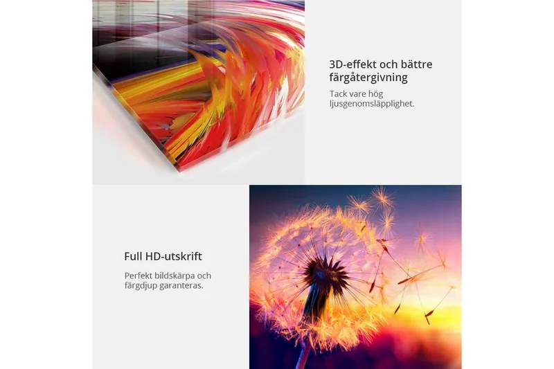 Bilde På Akryl Shiny Lily 100x50 - Artgeist sp. z o. o. - Innredning - Bilder & kunst