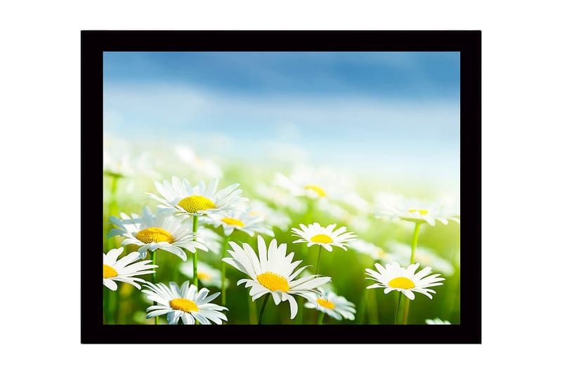 Dekorativ InnRammemet MDF-maling 41x56 cm, Flerfarget