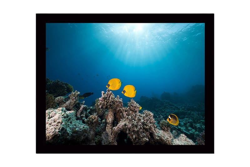 Dekorativ InnRammemet MDF-maling 41x56 cm, Flerfarget