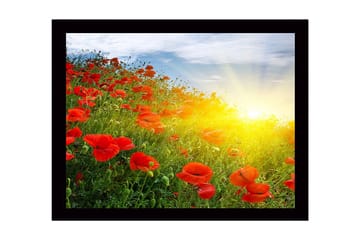 Dekorativ InnRammemet MDF-maling 41x56 cm - Flerfarget - Innredning - Bilder & kunst