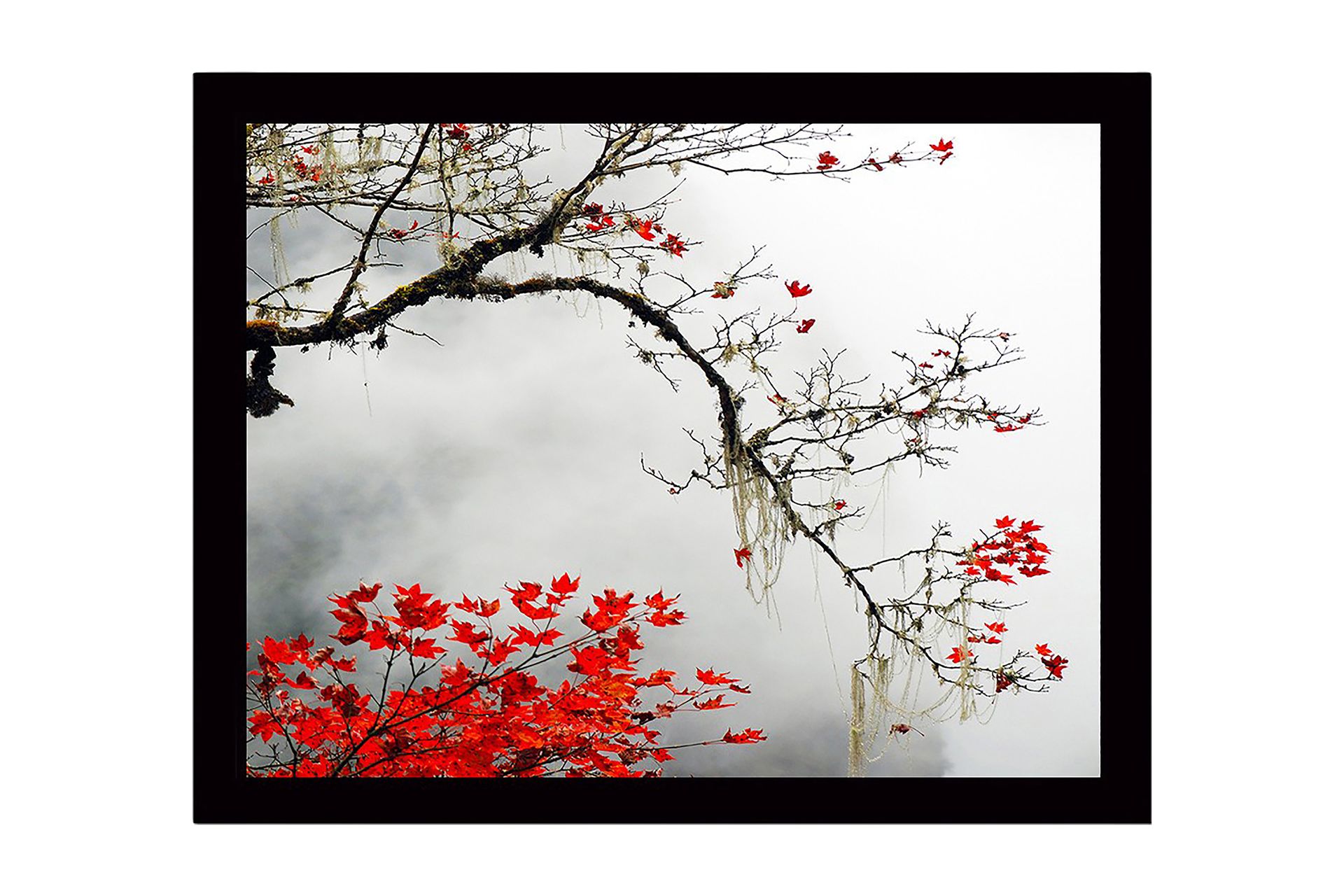 Dekorativ InnRammemet MDF-maling 41x56 cm - Flerfarget - Innredning - Bilder & kunst