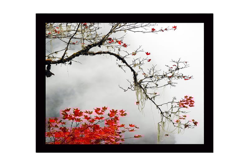 Dekorativ InnRammemet MDF-maling 41x56 cm - Flerfarget - Innredning - Bilder & kunst