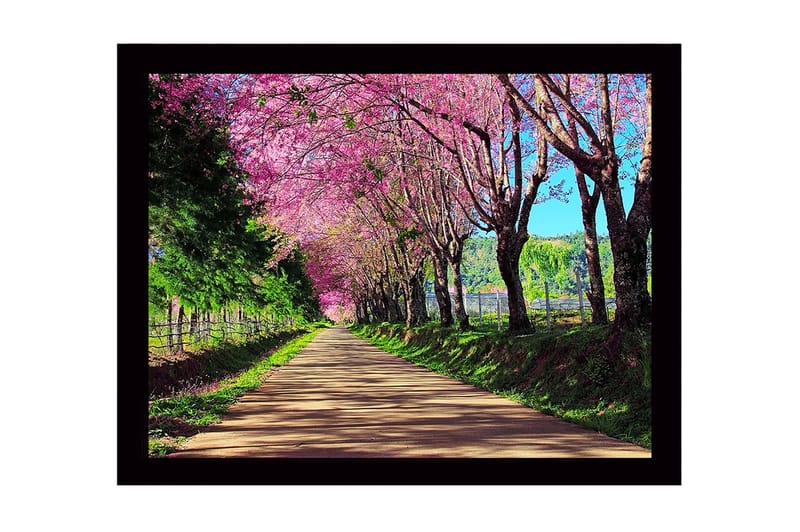 Dekorativ InnRammemet MDF-maling 41x56 cm - Flerfarget - Innredning - Bilder & kunst