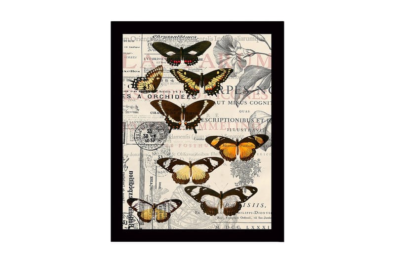 Dekorativ InnRammemet MDF-maling 41x56 cm - Flerfarget - Innredning - Bilder & kunst