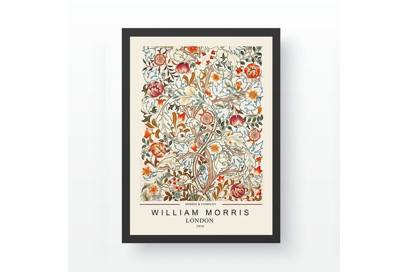 Dekorativt innrammet maleri Campora Ticoman Flerfarget (35 x 45 cm), Multifarget