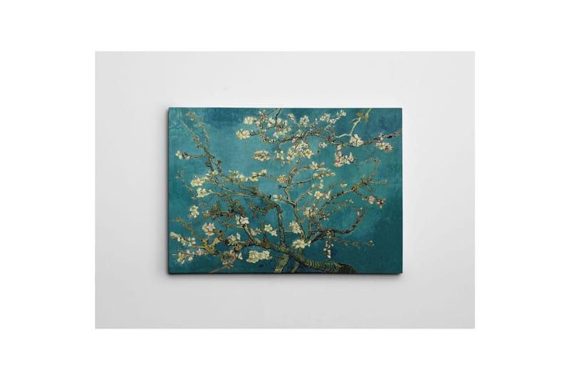 Dekorativt lerretsmaleri Marro Flerfarget - 70 x 100 cm - Innredning - Bilder & kunst - Lerretsbilder