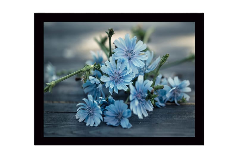Innrammet lerret i tre - 41x56 cm - Blomster i myke blå nyanser - Lys blå / Grønn - Innredning - Bilder & kunst