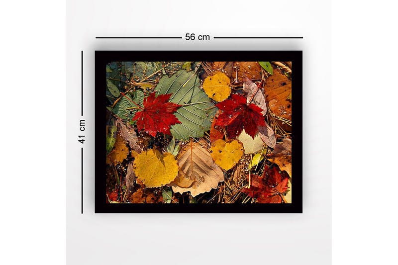 Innrammet lerret i tre - 41x56 cm - Fargerike høstblader på bakken - Rød / Gul / Grønn - Innredning - Bilder & kunst
