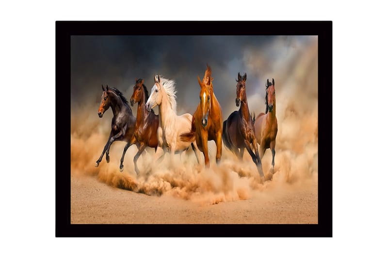Innrammet lerret i tre - 41x56 cm - Fem hester som beveger seg gjennom en sandstorm - Brun / Beige / Svart - Innredning - Bilder & kunst