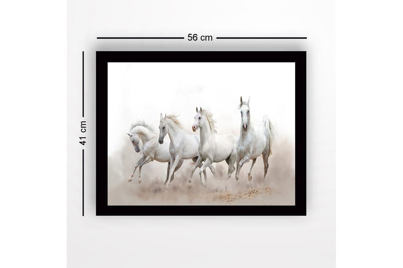 Innrammet lerret i tre - 41x56 cm - Fire hvite hester i bevegelse - Hvit / Lys grå - Innredning - Bilder & kunst