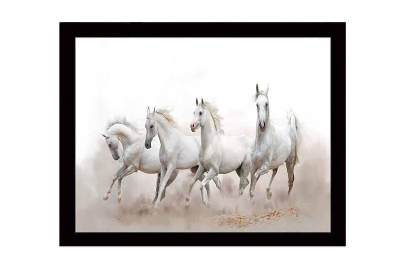 Innrammet lerret i tre - 41x56 cm - Fire hvite hester i bevegelse, Hvit / Lys grå