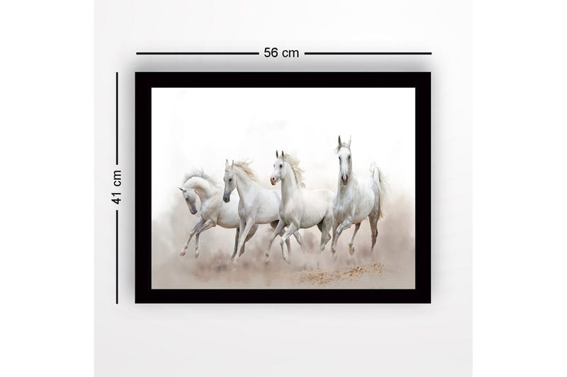 Innrammet lerret i tre - 41x56 cm - Fire hvite hester i bevegelse - Hvit / Lys grå - Innredning - Bilder & kunst