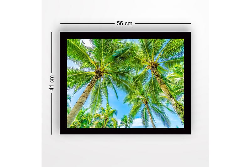 Innrammet lerret i tre - 41x56 cm - Høye palmer mot en klar blå himmel - Grønn / Blå - Innredning - Bilder & kunst