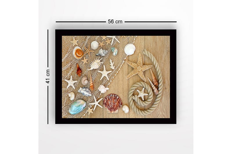 Innrammet lerret i tre - 41x56 cm - Havinspirert samling av skjell og sjøstjerner - Beige / Hvit / Blå - Innredning - Bilder & kunst