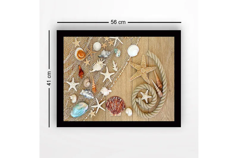 Innrammet lerret i tre - 41x56 cm - Havinspirert samling av skjell og sjøstjerner - Beige / Hvit / Blå - Innredning - Bilder & kunst