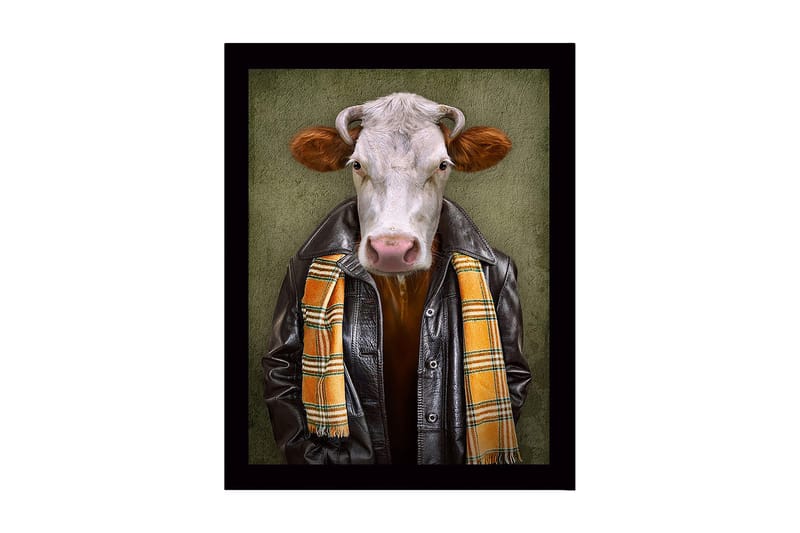 Innrammet lerret i tre - 41x56 cm - Kledd ku med skinnjakke og skjerf, Svart / Oransje / Grønn