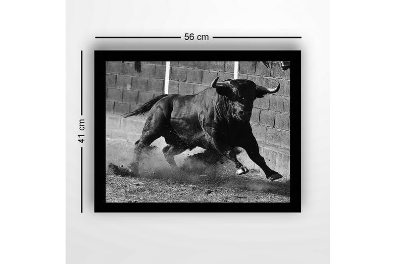 Innrammet lerret i tre - 41x56 cm - Kraftig okse i bevegelse - Svart / Grå - Innredning - Bilder & kunst