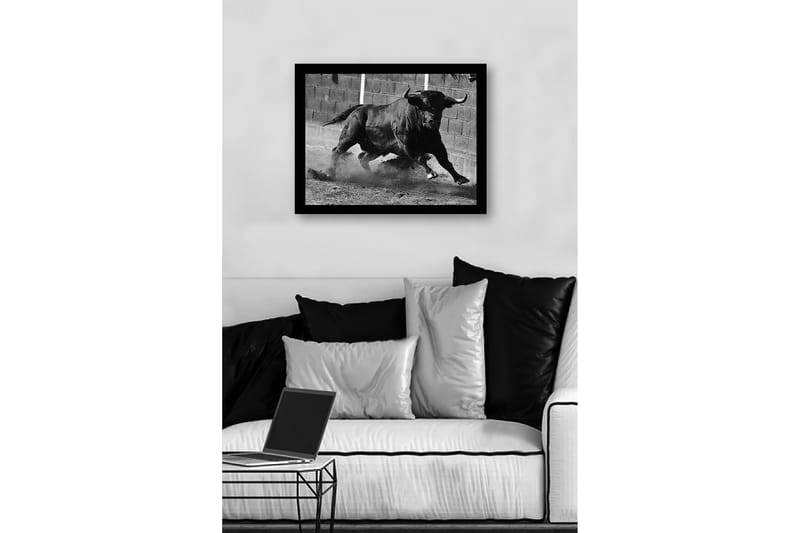 Innrammet lerret i tre - 41x56 cm - Kraftig okse i bevegelse - Svart / Grå - Innredning - Bilder & kunst