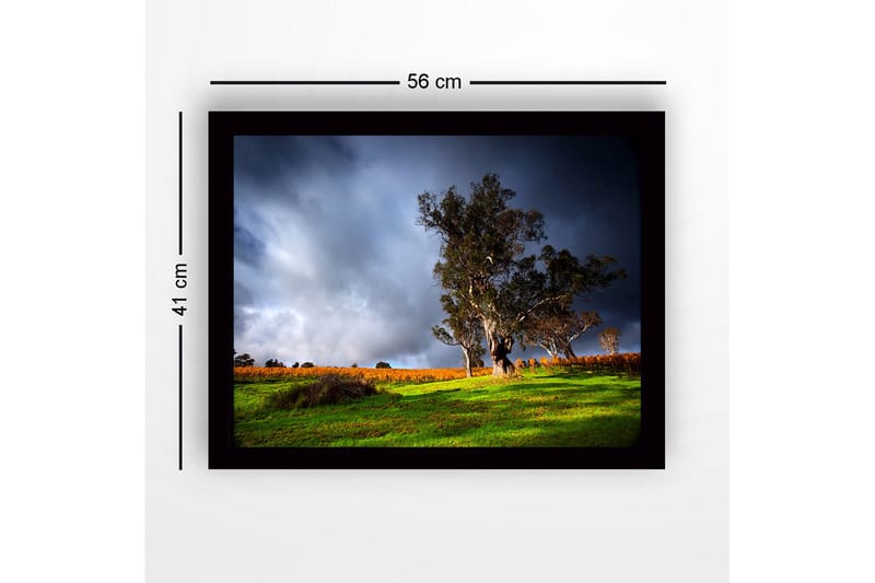Innrammet lerret i tre - 41x56 cm - Staselig eik i dramatisk landskapssetting - Mørk grønn / Grå / Oransje - Innredning - Bilder & kunst